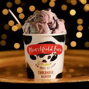 1 Scoop Marshfield Icecream