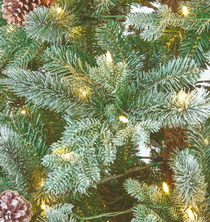 Frosty Dorchester 6.5ft Pre-Lit (A28)