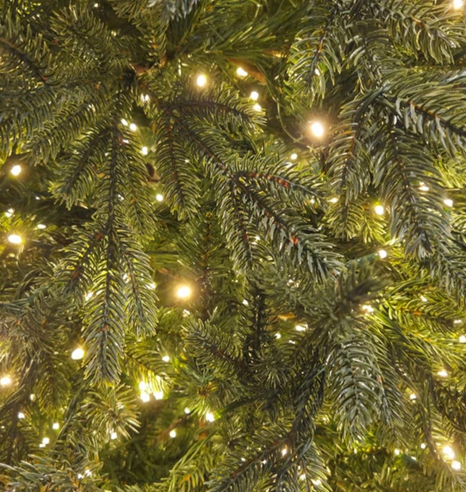 Grandvalaria 7ft Pre-Lit (A40)