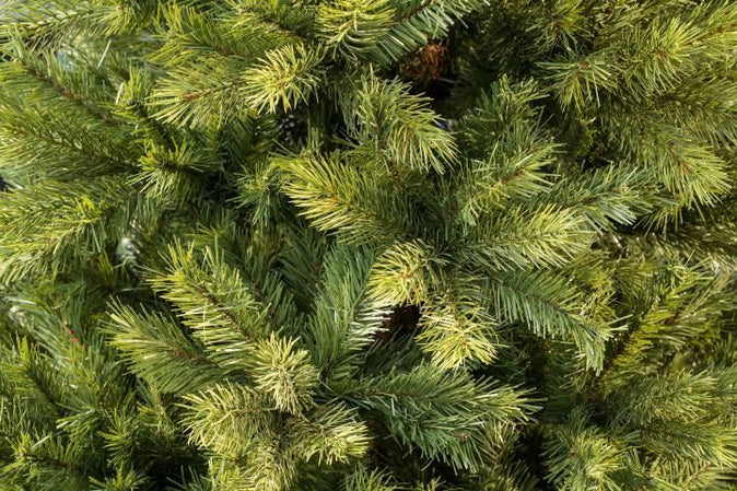 Kensington Fir Slim 6.5ft Pre-Lit (A6)