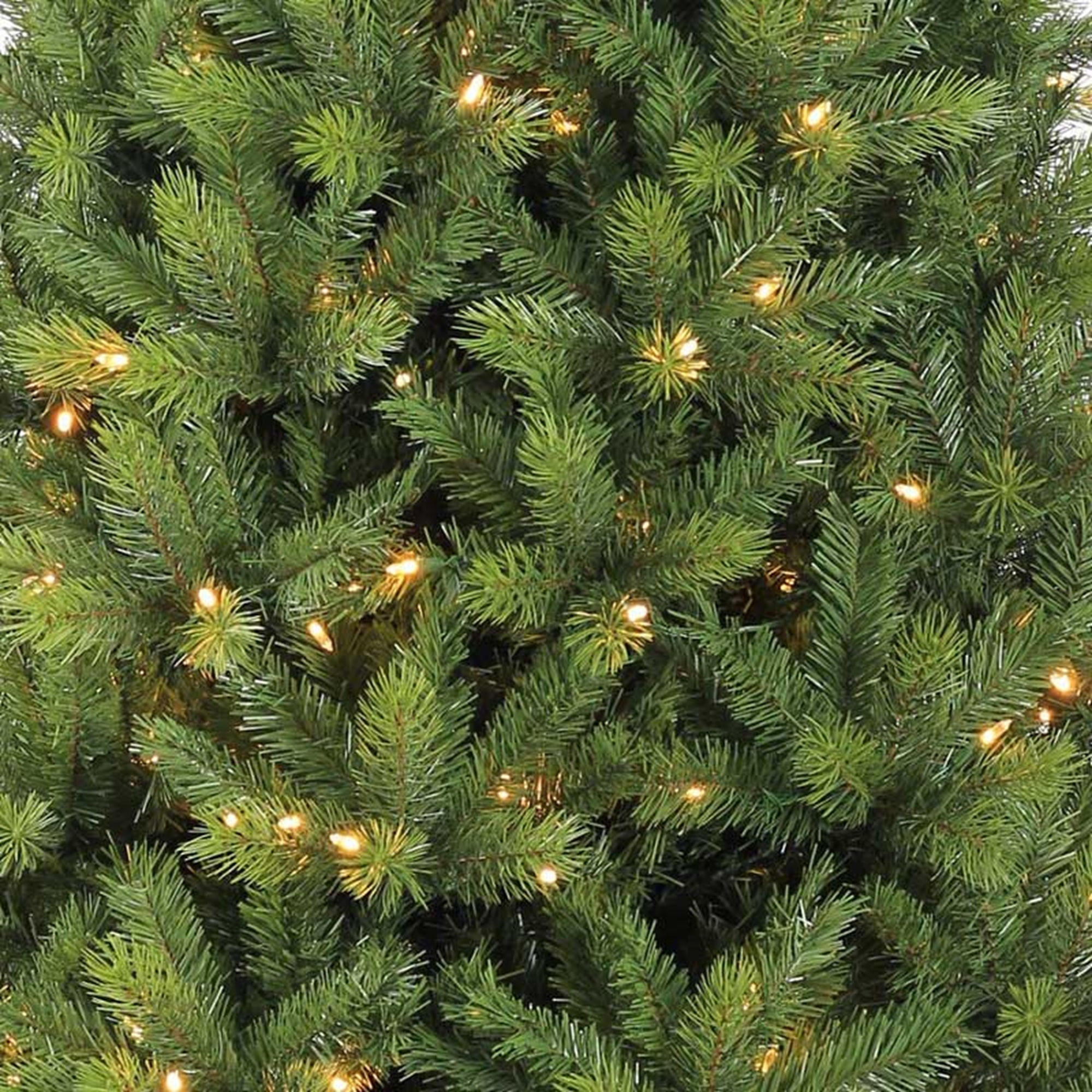 Kensington Fir 6ft Pre-Lit (A2) – Whitehall Garden Centre