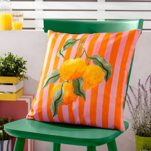 Oranges 43x43cm Outdoor Polyester Cushion Orange