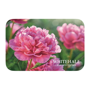 Whitehall Gift Card - Peony