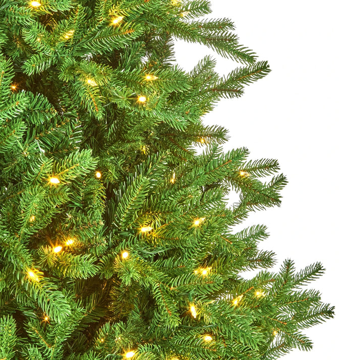 Princeton Medium 6.5ft Pre-Lit (A24)