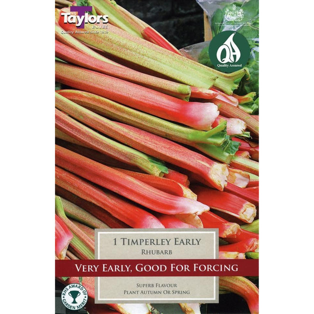 1 Timperley Early - Rhubarb