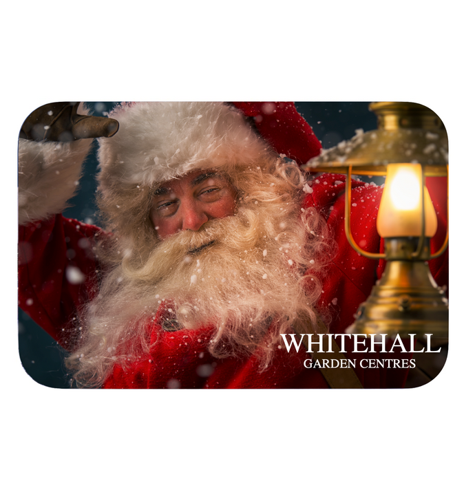 Whitehall Gift Card - Father Christmas