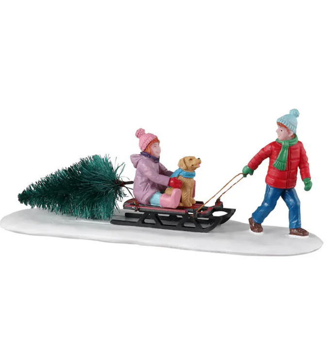 Bringing Home Our Tree
