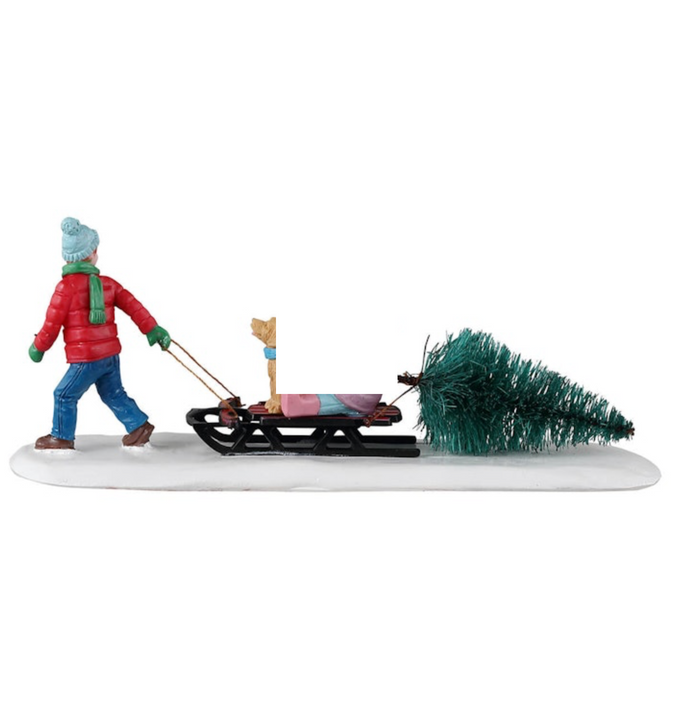 Bringing Home Our Tree