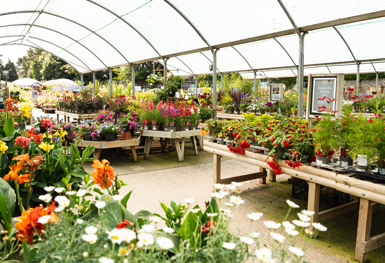 Whitehall Garden Centre, Whitchurch
