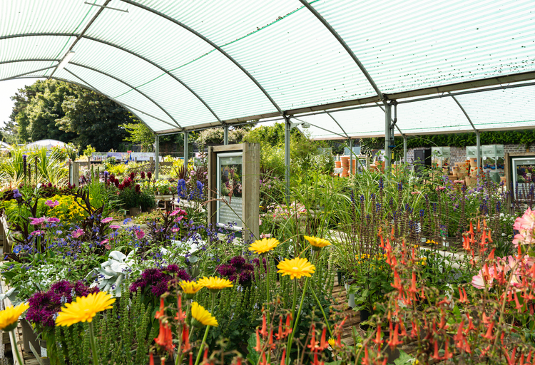 Whitehall Garden Centre, Whitchurch