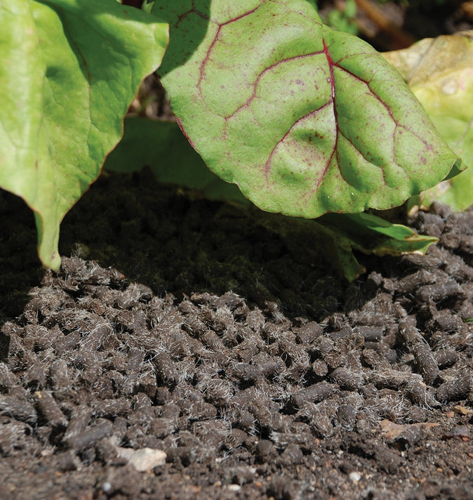 Slugs Away Wool Pellets 3Ltr