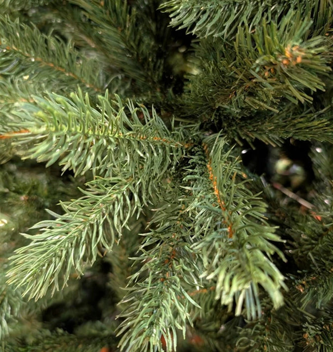 Tillberry Spruce 6.5ft Un-Lit (A19)