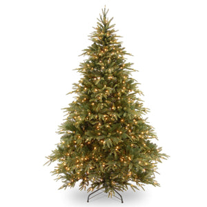 Weeping Spruce 7.5ft Pre-Lit (A18)