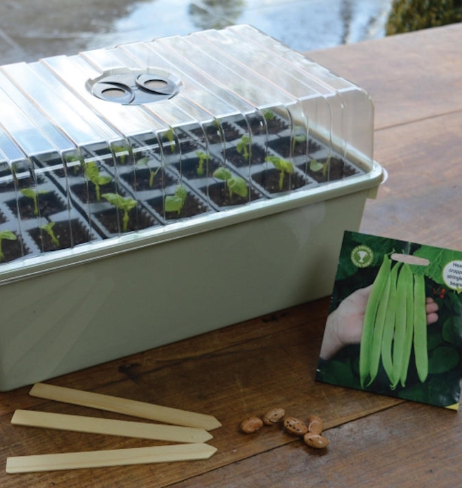 28 Cell Deep Root Success Kit
