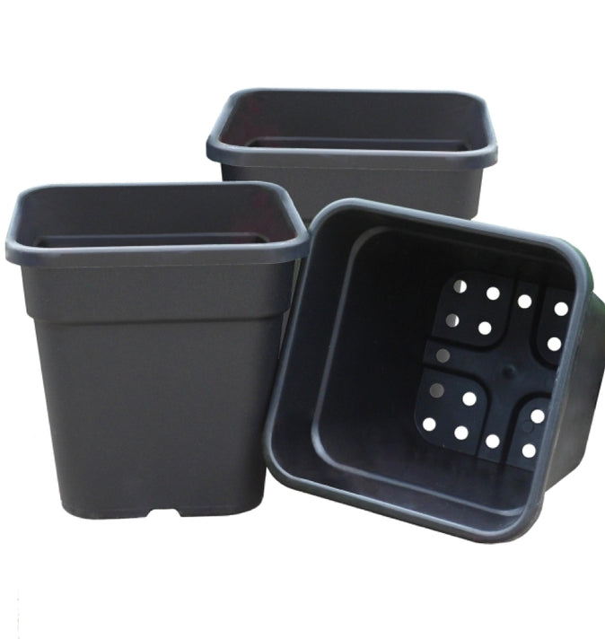 25cm Square Tom Pots Black 3 Pack
