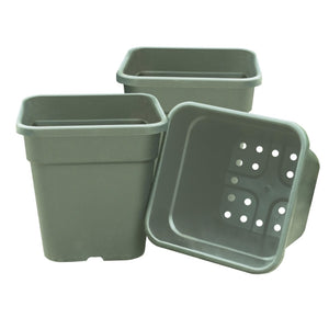 25cm Square Tom Pots Sage 3 Pack