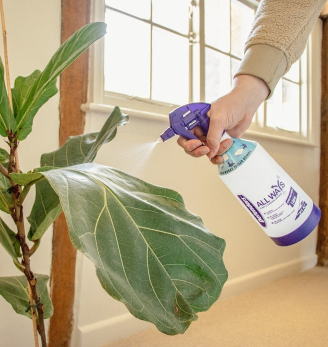 All Ways Sprayer 1Ltr