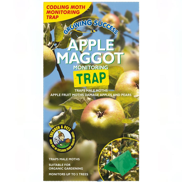 Apple Maggot Trap