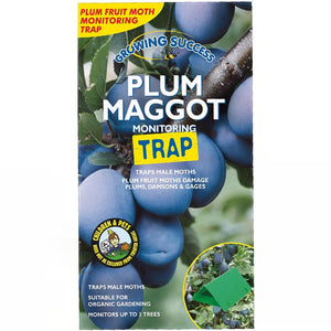 Plum Maggot Trap