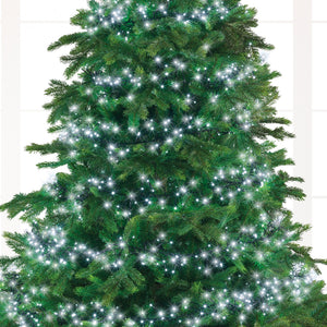 1512 Cluster Lights Cool White