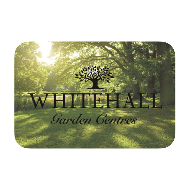 Whitehall Gift Card - Trees