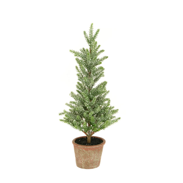 Pine Tree in Brown Pot 42cm