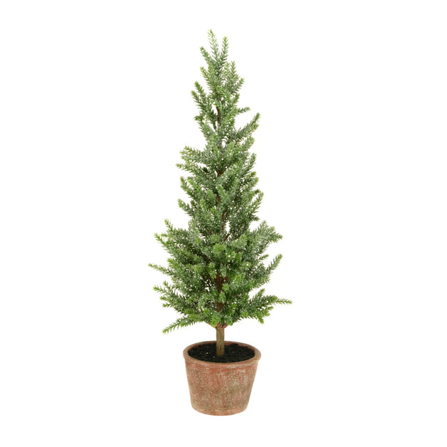 Pine Tree in Brown Pot 55cm