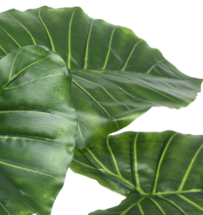 Faux Taro In Pot 90cm