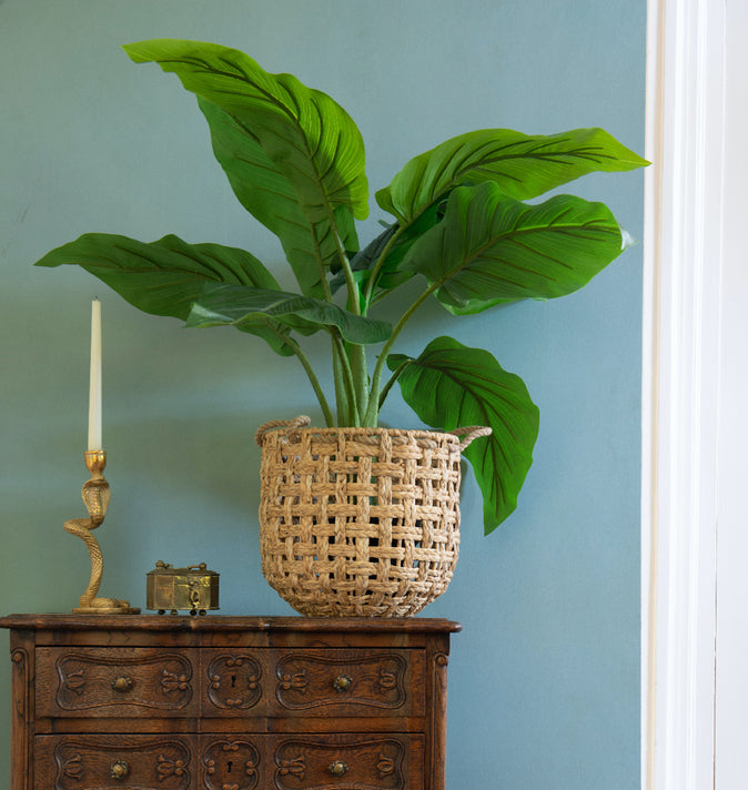 Faux Taro In Pot 90cm