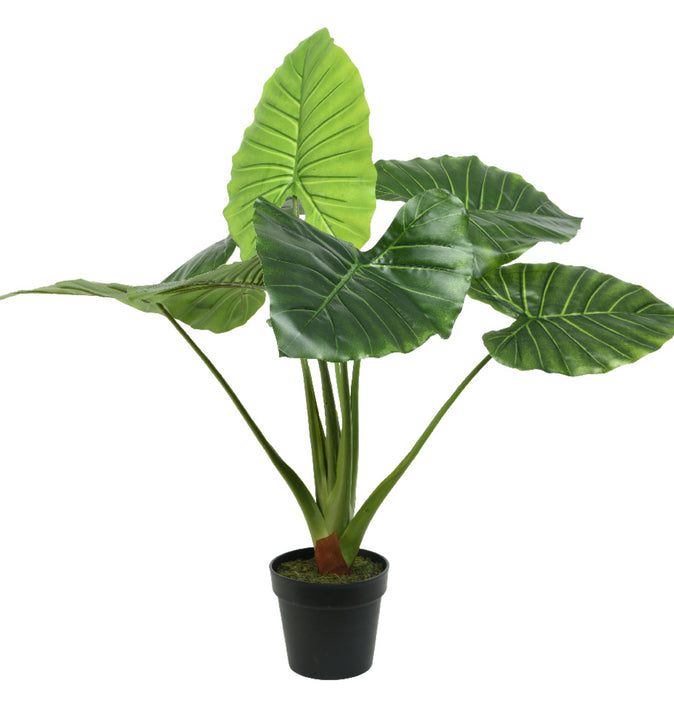 Faux Taro In Pot 90cm