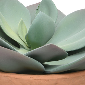 Faux Succulent In Pot 21cm