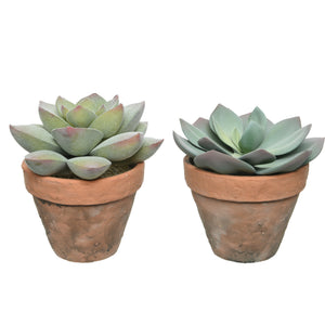Faux Succulent In Pot 21cm