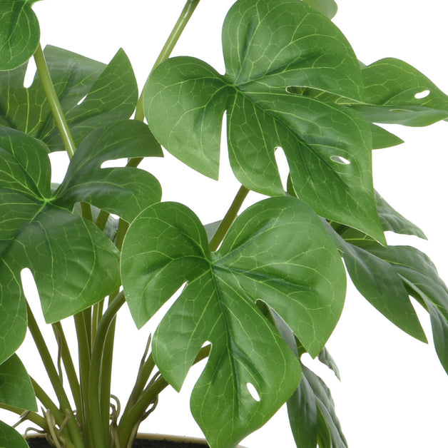 Faux Philodendron or Monstera In Pot 28cm