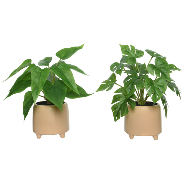 Faux Philodendron or Monstera In Pot 28cm