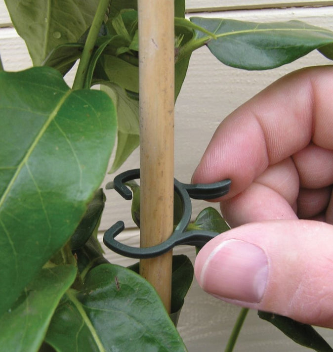 Plant Clips 50 Pack