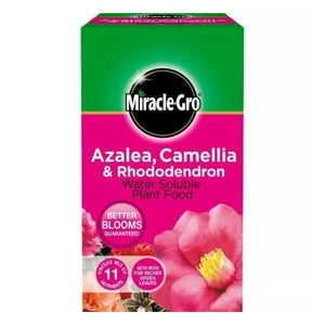 Miracle-Gro Azalea Feed 1kg