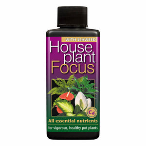 Houseplant Focus 100ml