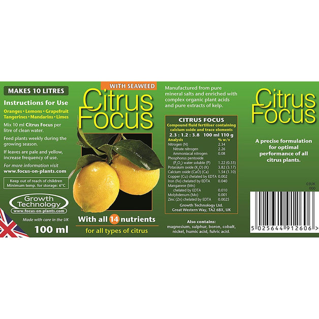 Citrus Focus 100ml