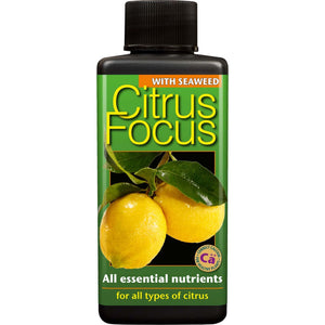 Citrus Focus 100ml