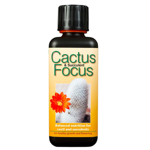 Cactus Focus 100ml