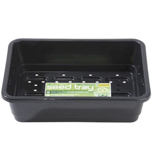 Standard Seed Tray With Holes Black