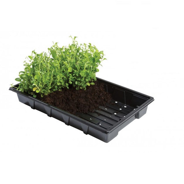 Seed Trays 5 Pack