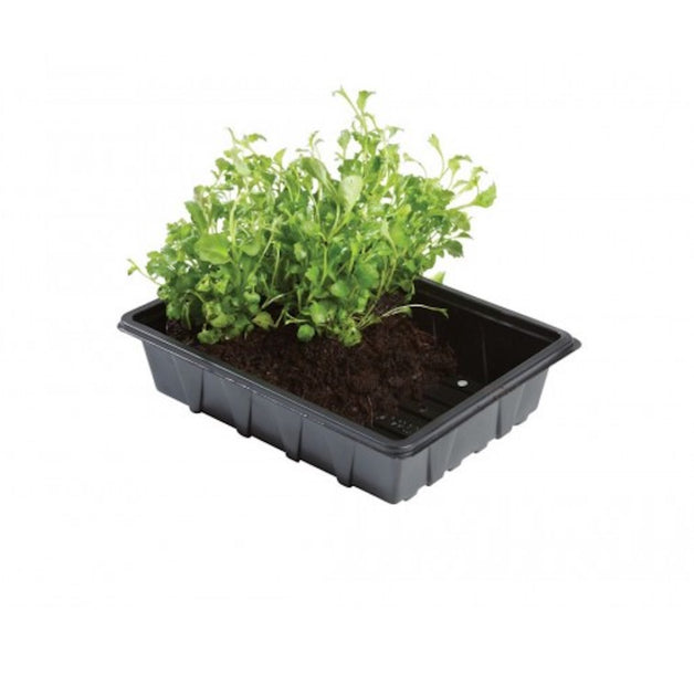 Half Seed Tray 5 Pack