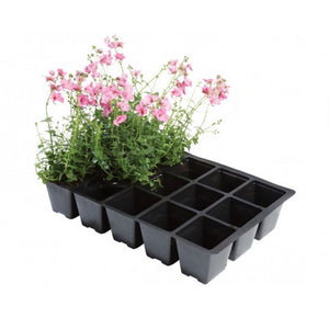 15 Cell Inserts 5 Pack