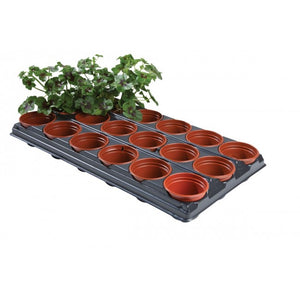 Potting on Tray