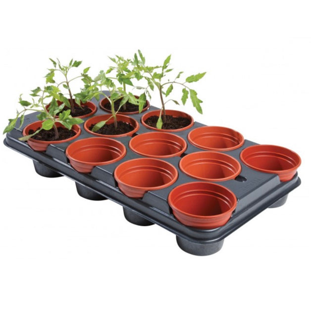 Growing Tray