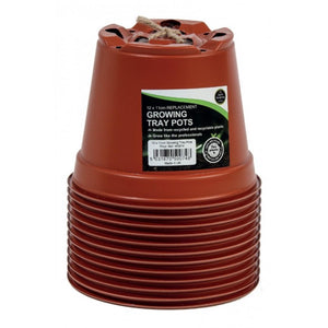 Growing Pots 12 Pack