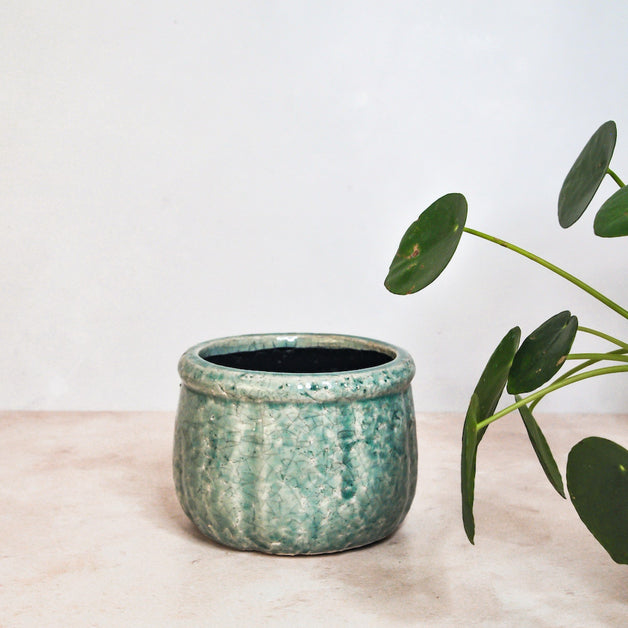 Garden Trading Co. Minori Ceramic Pot In Aqua (Small)