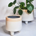 Garden Trading Co. Ceramic Sherston Pot (Small)