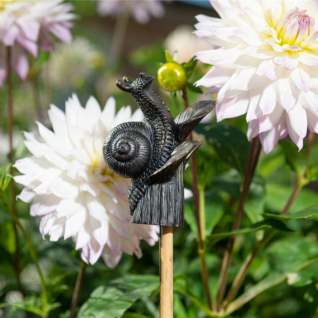 Antique Bronze Snail On Hosta